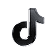 TikTok Icon